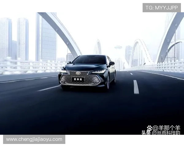 上海羽毛球队在洲际杯积分榜上以85分稳居第一名展现强劲实力