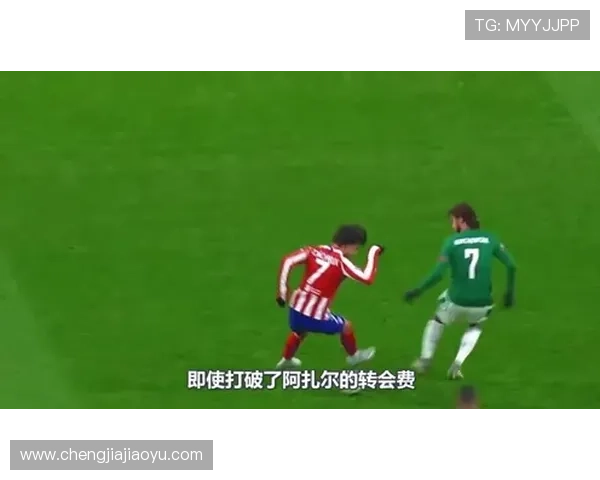 乌龟与足球明星的奇妙联结揭秘你不知道的故事与传说