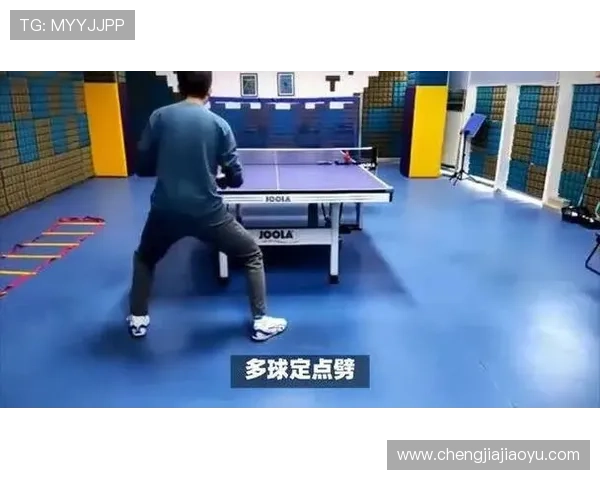乒乓球技艺探秘：深入解析上海乒乓球队的进攻战术与训练方法