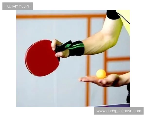 乒乓球的魅力揭晓：深入探讨上海乒乓球队的灵活战术与训练秘诀