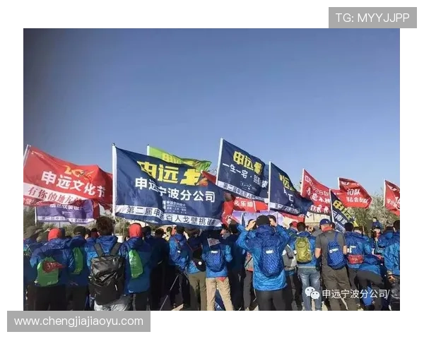 乒乓球场上的坚持与梦想:杨娜的深度人生对话探索 乒乓球场上的坚持与梦想:杨娜的深度人生对话探索