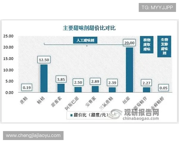 武汉排球队团队协作深度分析与其他球队的对比研究